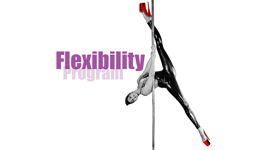 Studio Veena Flexibility Program