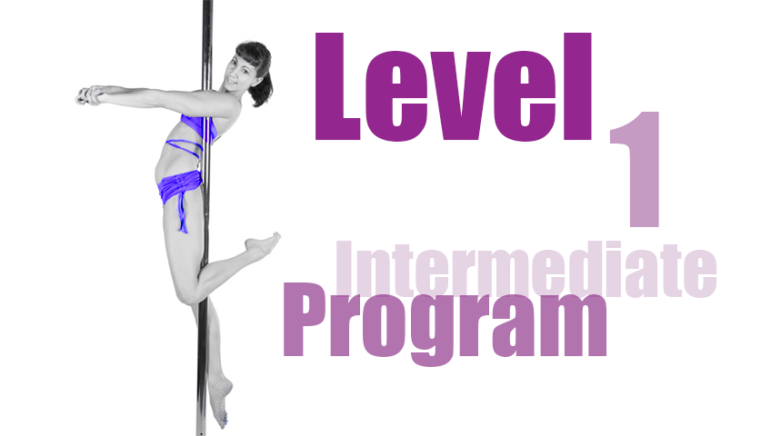 Studio Veena Intermediate Pole Dancing Lessons